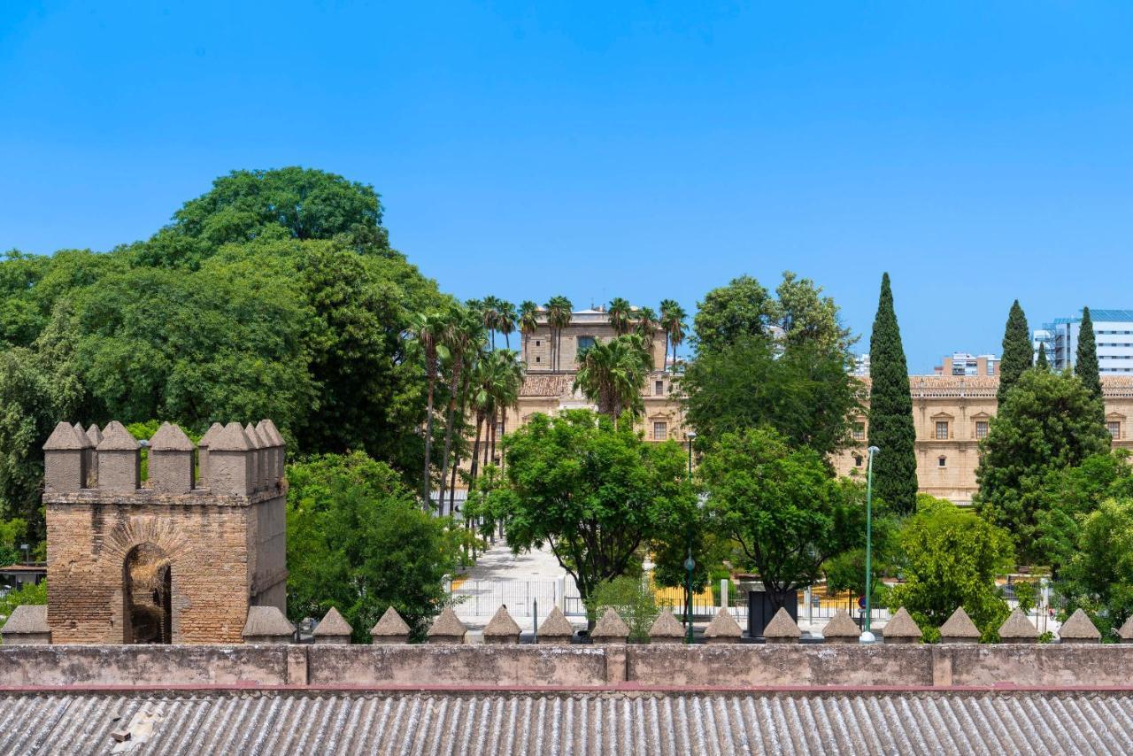 Alohamundi San Luis, Seville